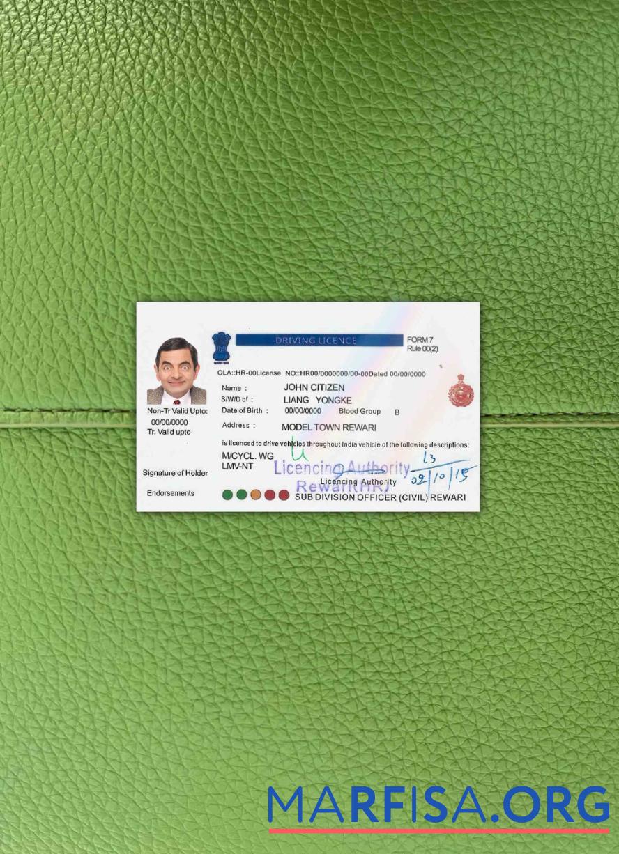 Downloadable India driving license version 5 photolook real example